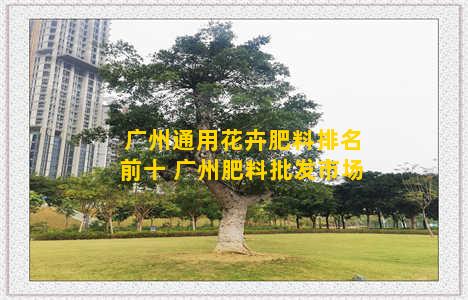 广州通用花卉肥料排名前十 广州肥料批发市场